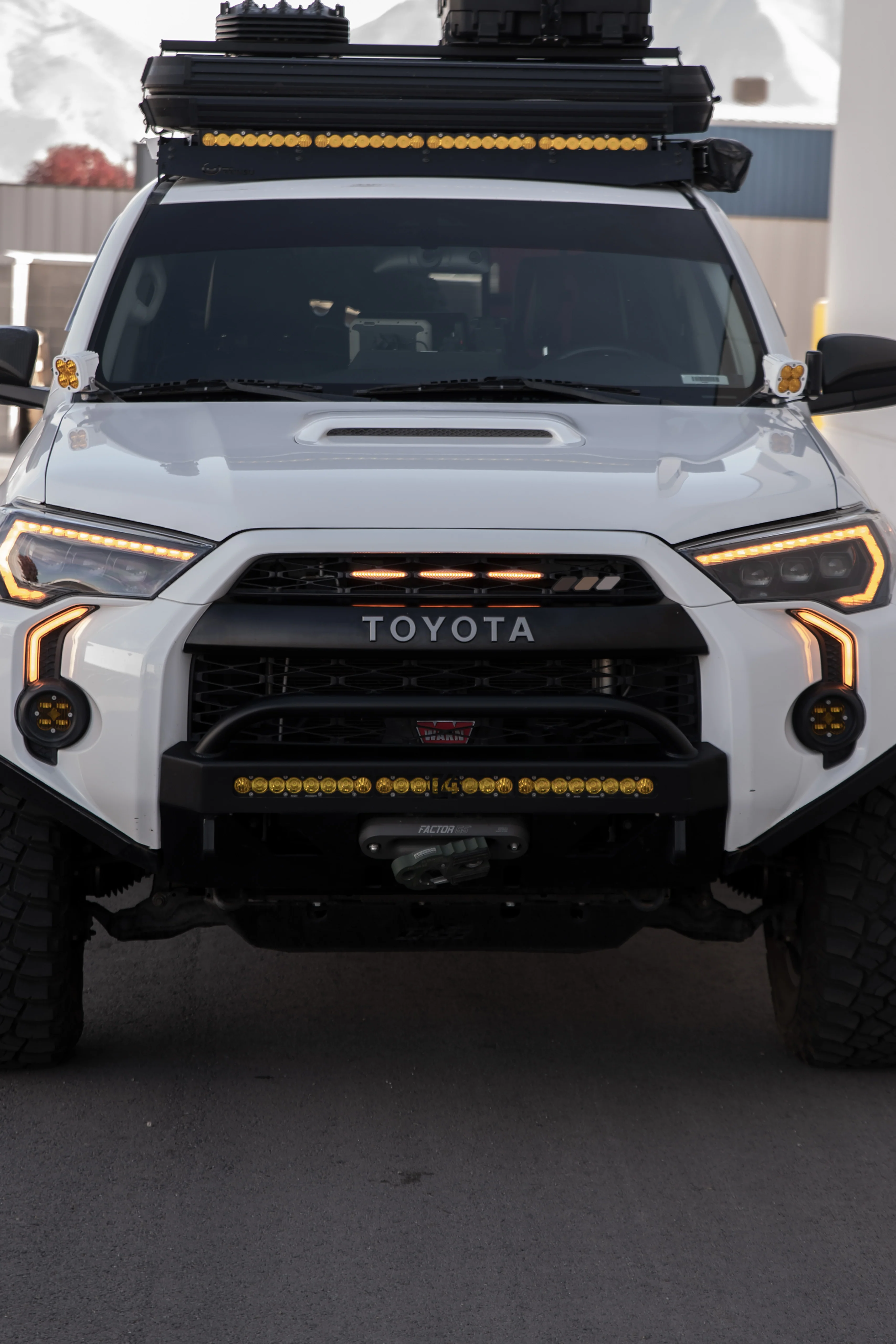 Tri-Color Grille Badge - Image 8