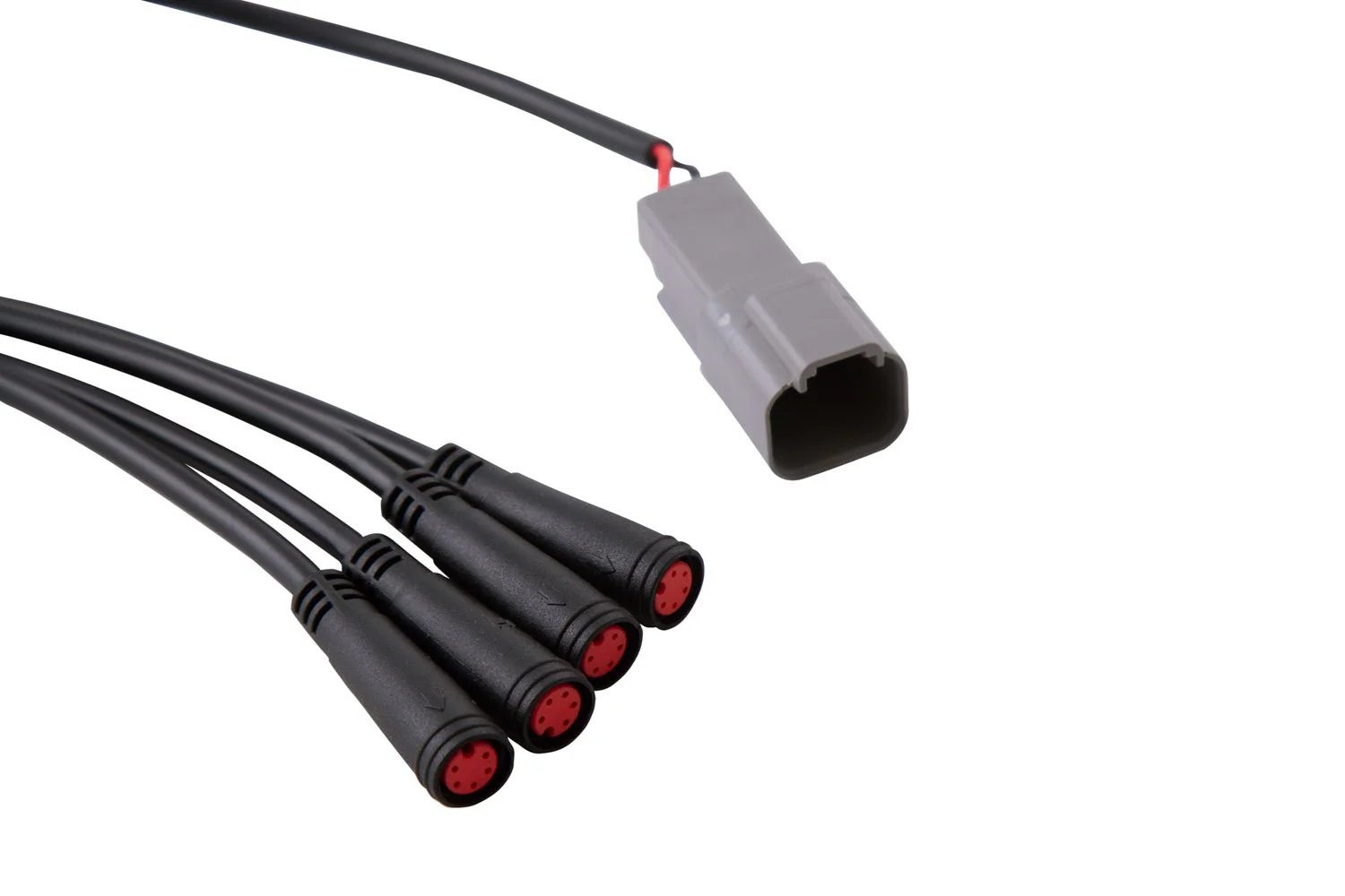 Diode Dynamics RGBW 24-Key M8 RF Controller - Image 4