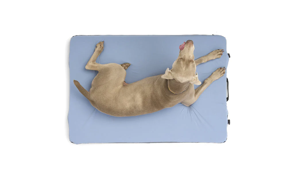 Hest Dog Bed - Image 2