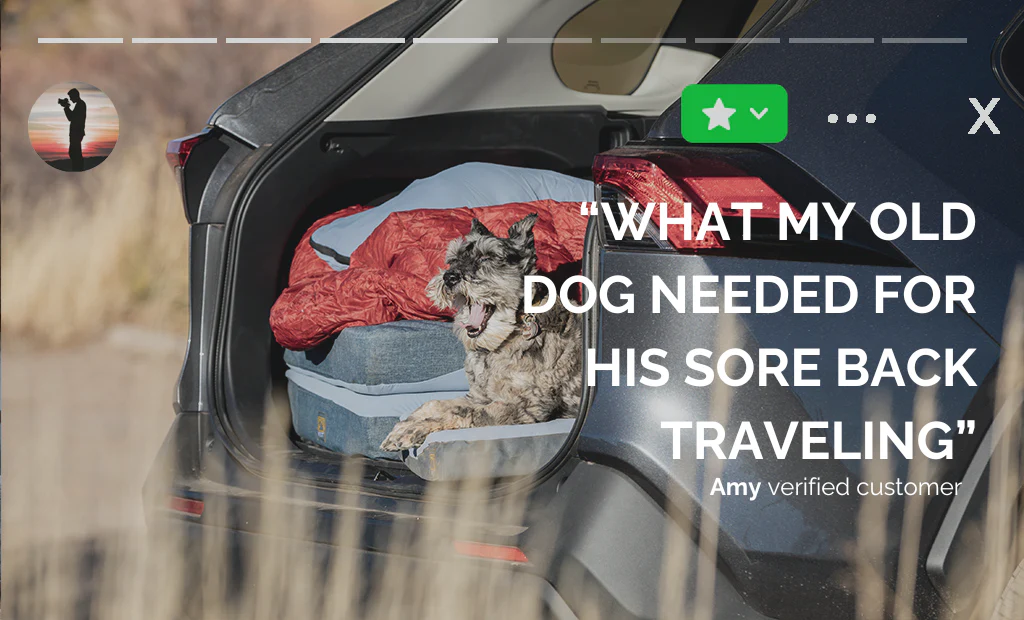 Hest Dog Bed - Image 3