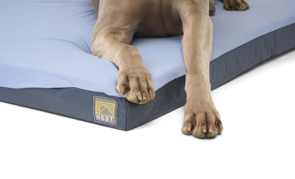 Hest Dog Bed - Image 8