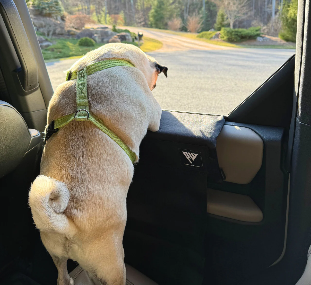 Paw Protector - Image 8
