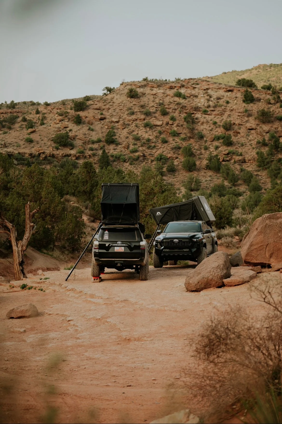 Sterling Adventure Co Uinta Box Shell Rooftop Tent - Image 10