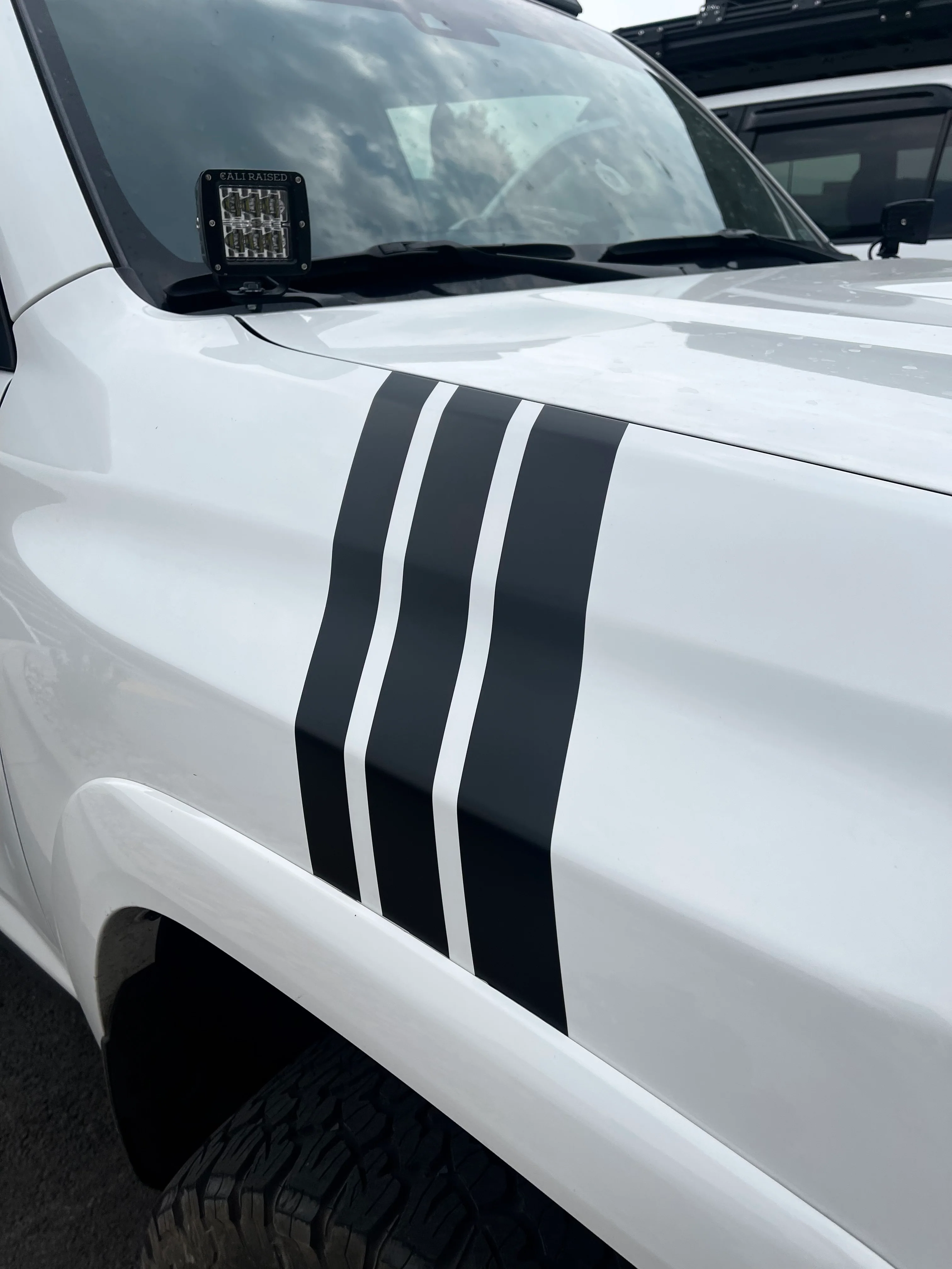 Taco Vinyl Medium Universal Decal - Image 10