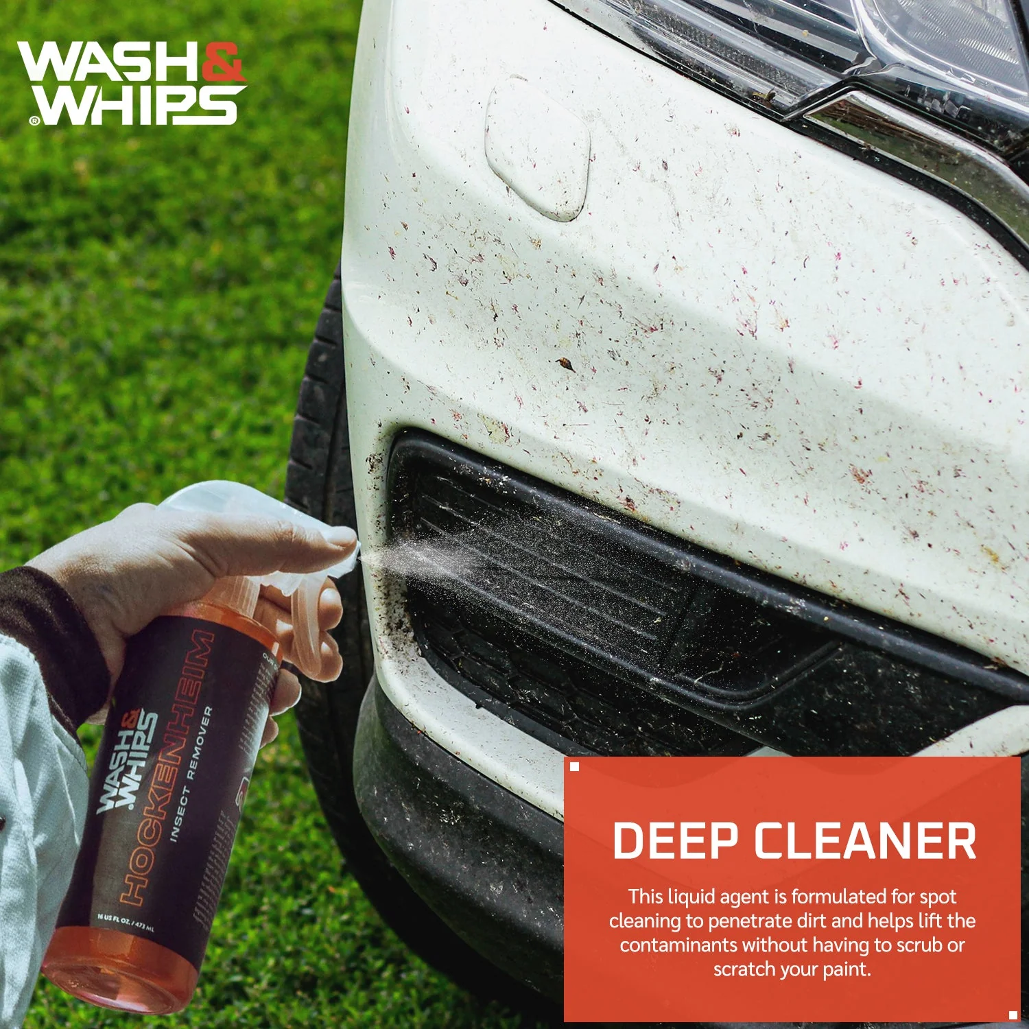 WASH&WHIPS Hockenheim Insect & Bug Removal - Image 3